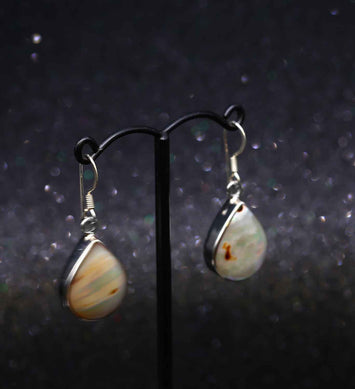 Boucles d'oreilles  en argent SE064