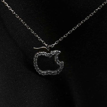 Colier en argent SE058