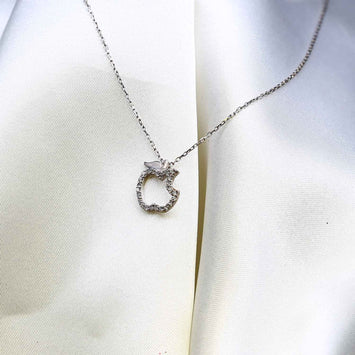 Colier en argent SE058