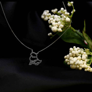 Colier en argent SE052