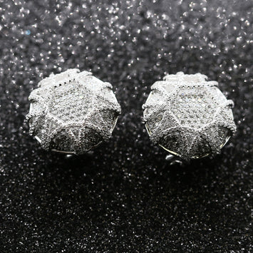 Boucles d'oreilles en argent SE009